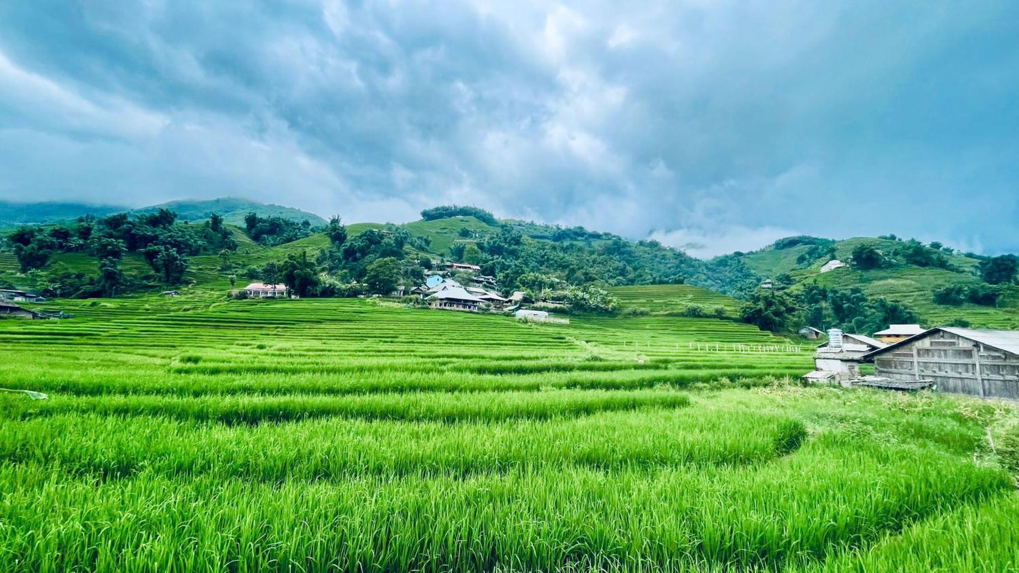 Eco Rice Fields House Vandrerhjem Sa Pa Eksteriør bilde